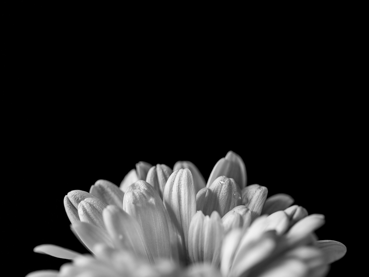 UG����(�й�����)�ٷ���վ