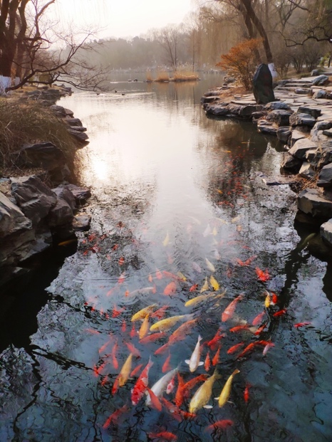 UG环球·(中国集团)官方网站