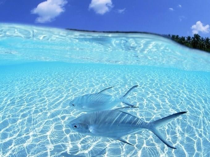 UG环球·(中国集团)官方网站