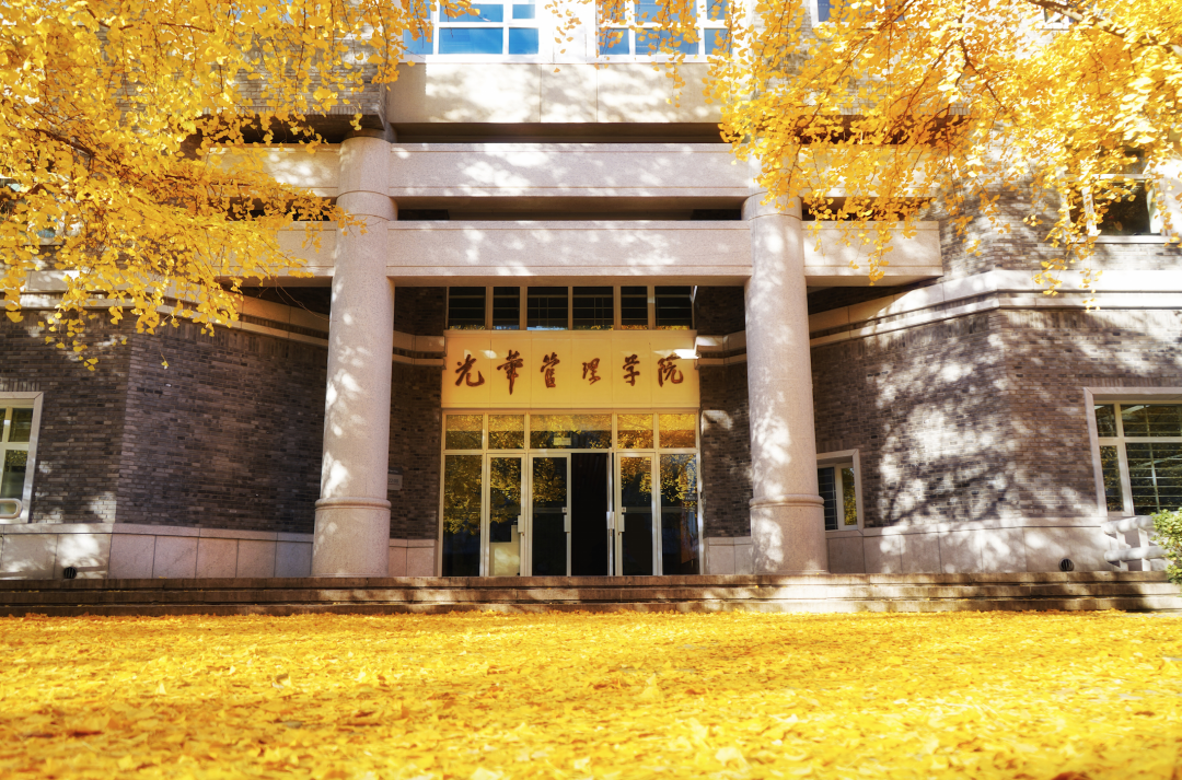 1F41408FF3E661284075022B69D_D4E21493_18A880