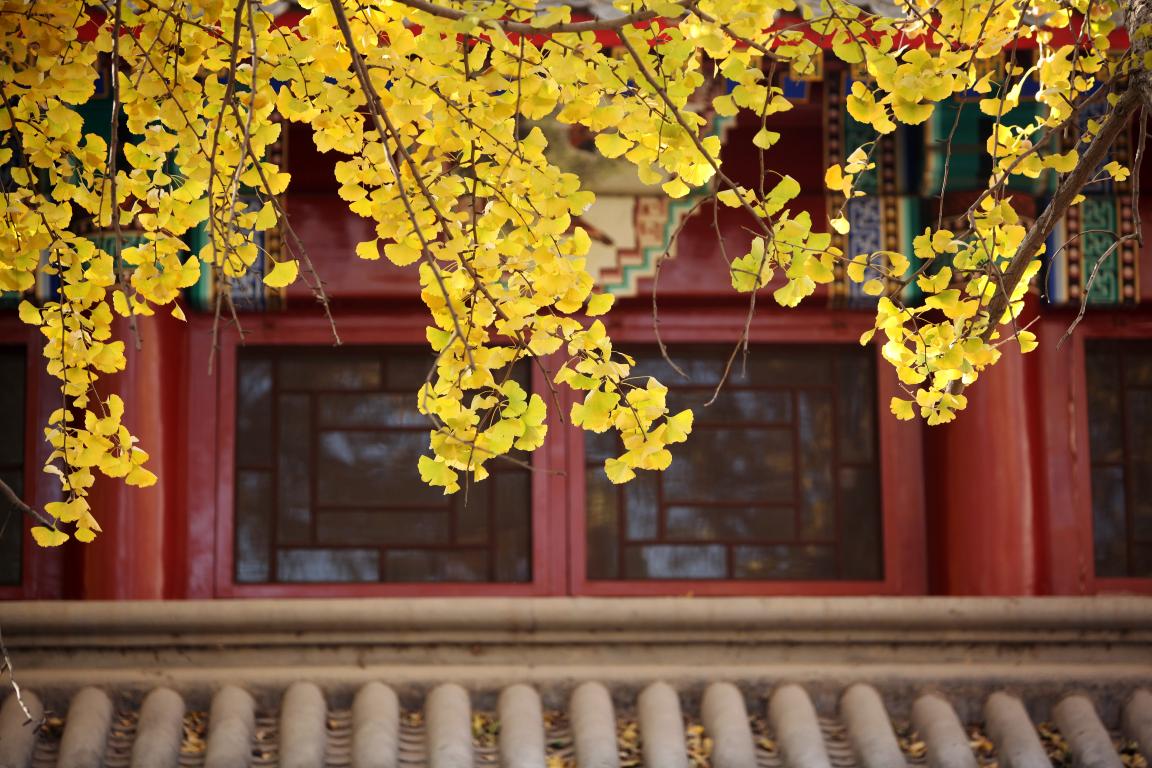 感动 | 确认过眼神，，你是对的人