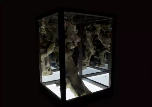 UG环球·(中国集团)官方网站