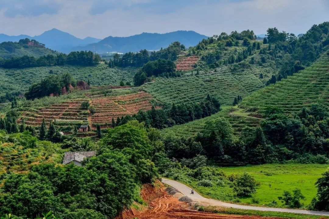 UG����(�й�����)�ٷ���վ