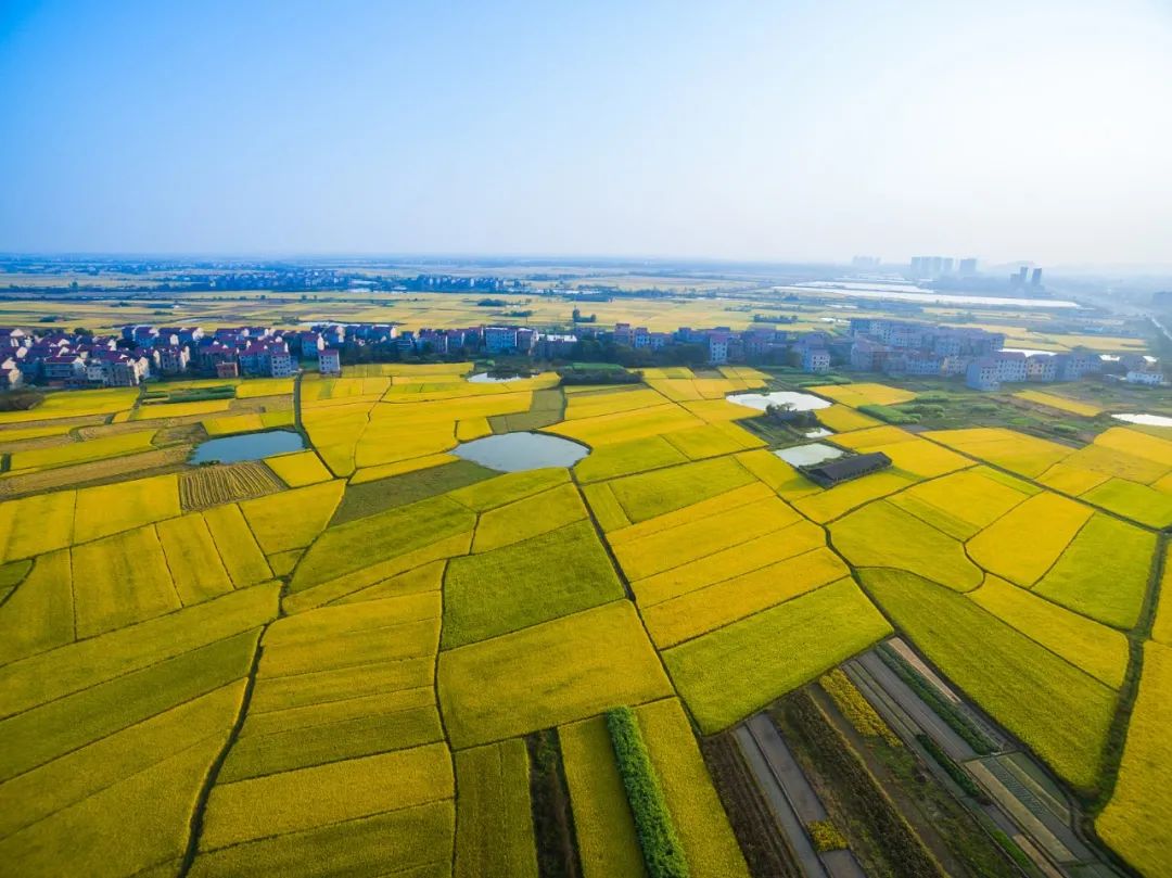 66DD482FFAEDB415AF0B98B75BE_B2B26172_1FF3B