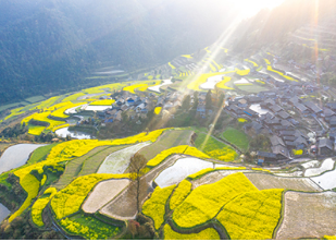 雷明：：年轻人，，回到家乡，，让家乡重生