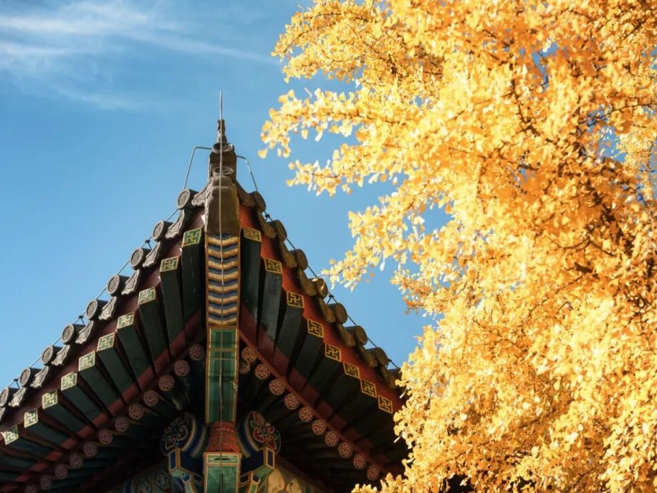 UG环球·(中国集团)官方网站