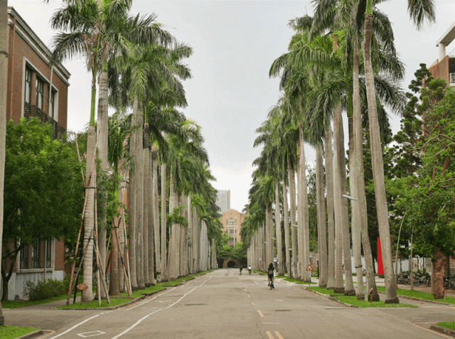 台湾：：：匠心银发工业探访丨国际商务方略