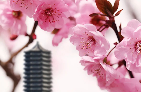 UG环球·(中国集团)官方网站