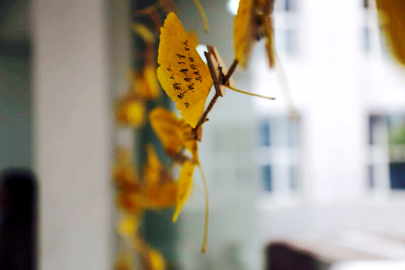 UG环球·(中国集团)官方网站