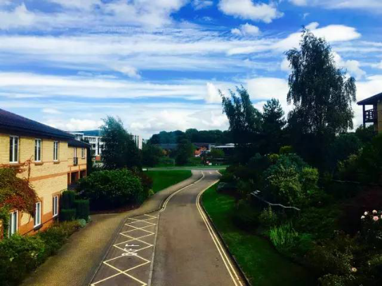 手艺是修行，，品牌是沉淀?