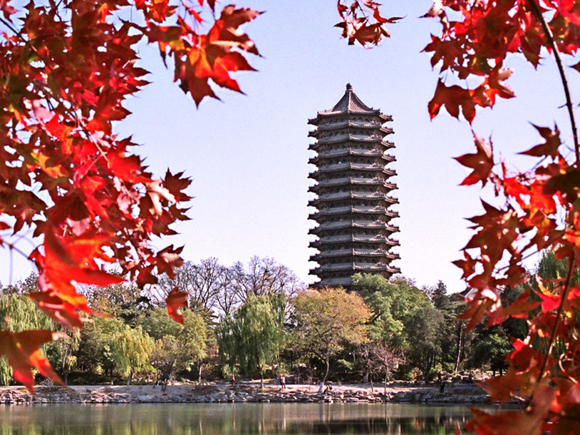  招生丨2020年北大UG环球整日制会计、、、审计硕士项目报名启动