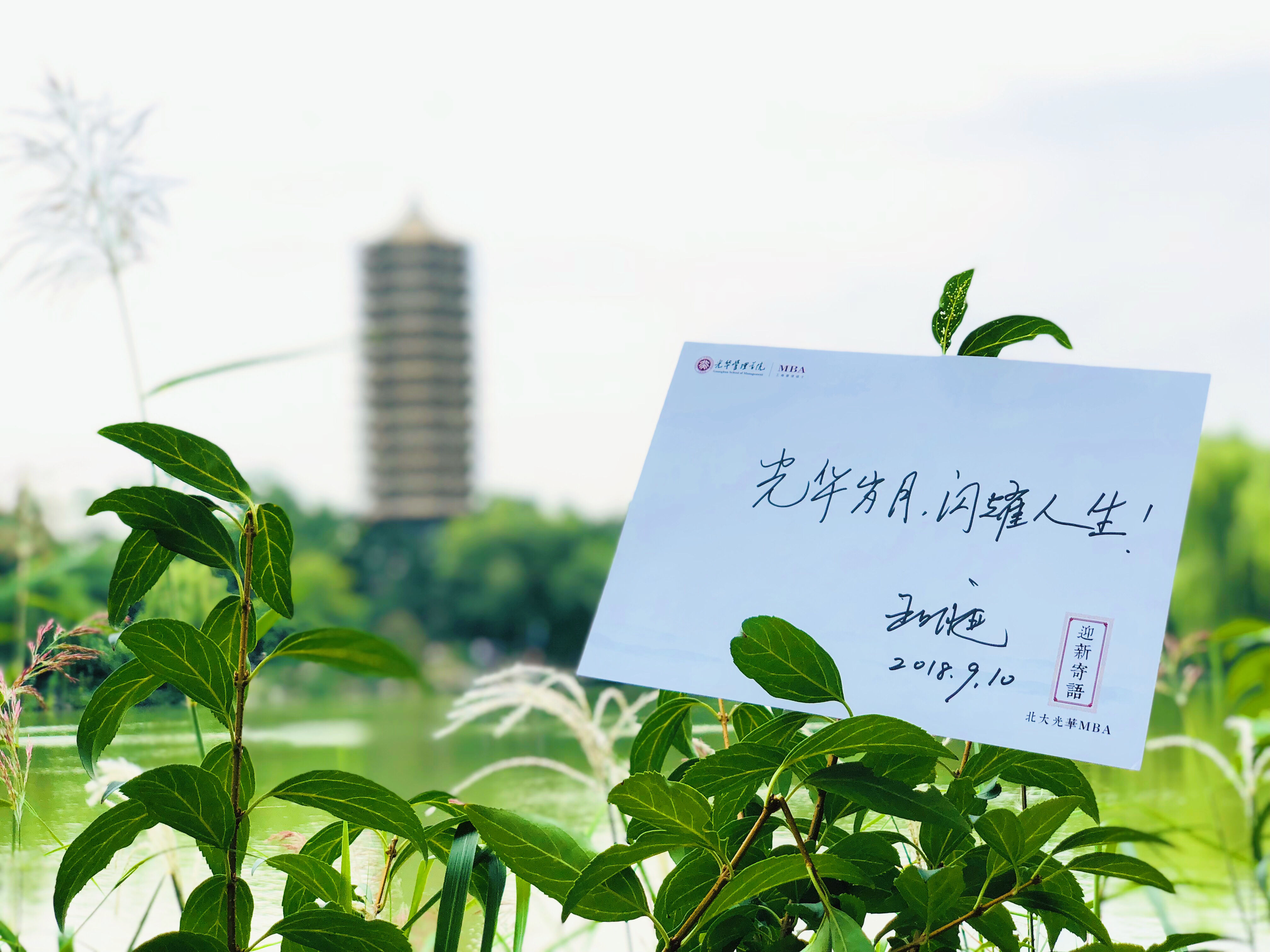 6A0961492D903322527845C06D2_3EBAB5E0_11F4A9.jpg?e=