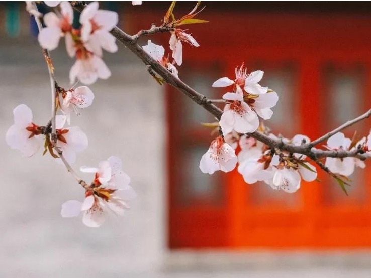 UG环球·(中国集团)官方网站