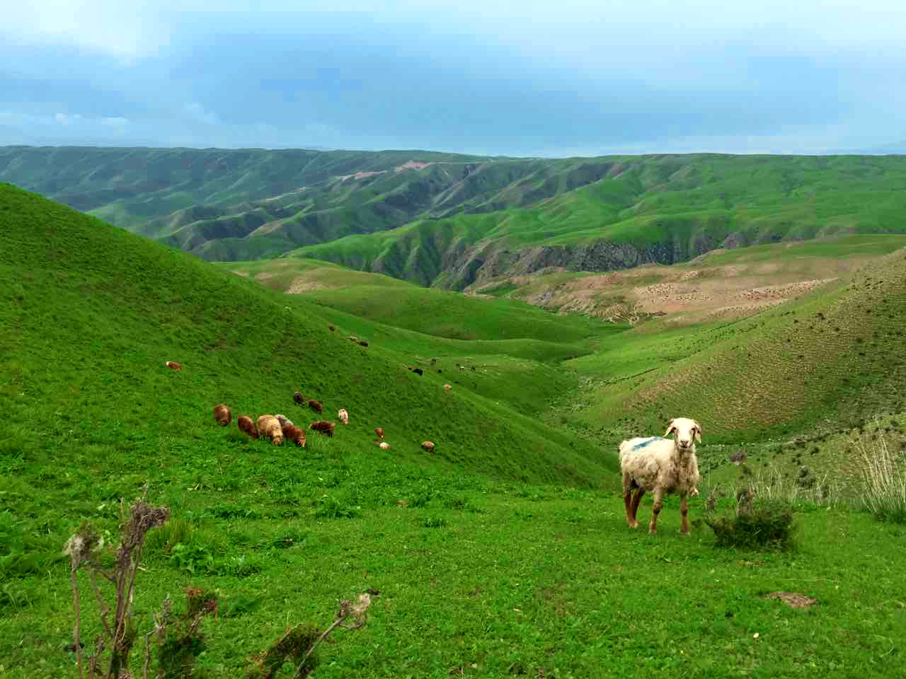 UG环球·(中国集团)官方网站