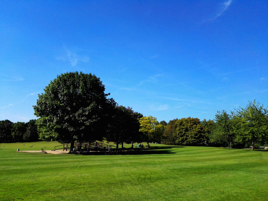 8CF48EAFF9204C3D56261C533BB_B09EBCEA_E09AB