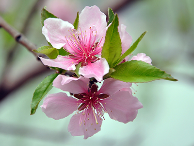 UG环球·(中国集团)官方网站