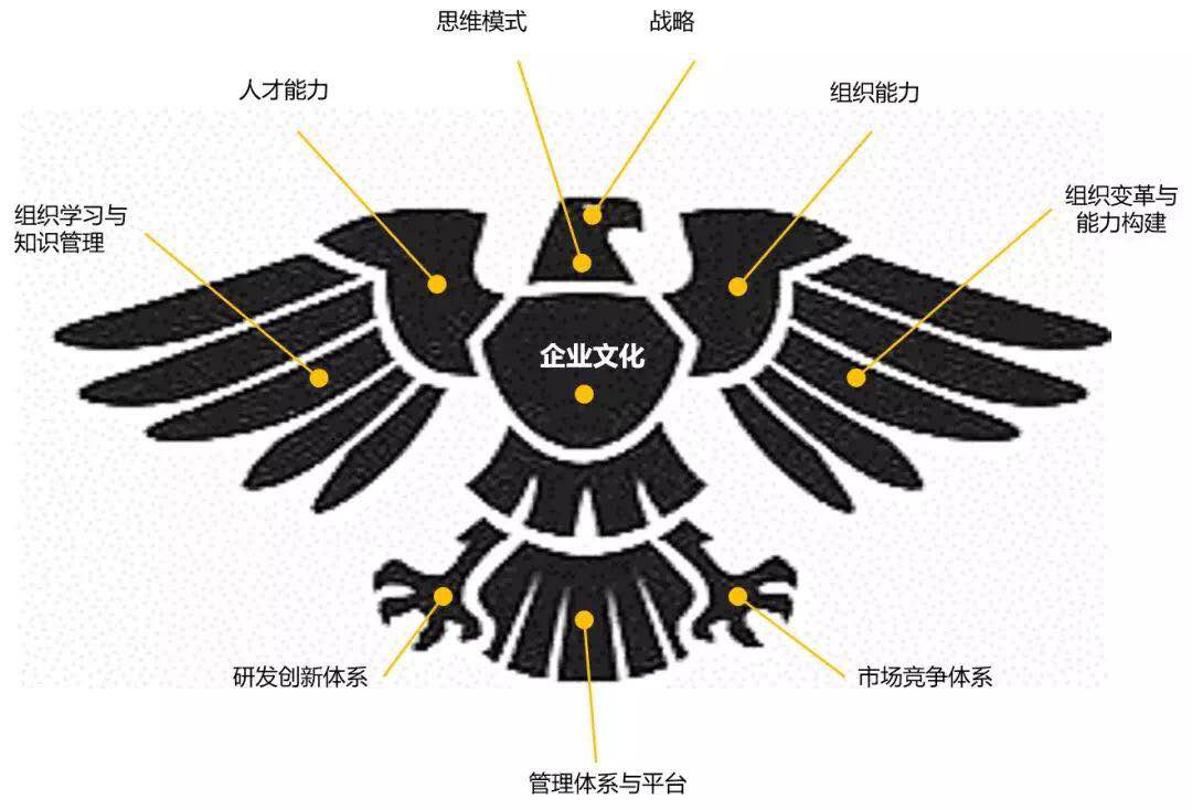 77C8426C6D9B1E1AB6D90A4E322_A9DE771C_11495