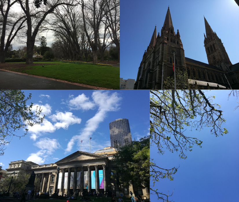 349EC0E5D32A970D06AF8272DBF_9D481254_F6FD4