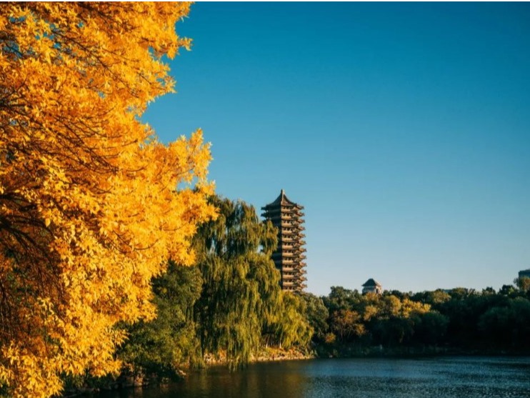 UG环球·(中国集团)官方网站