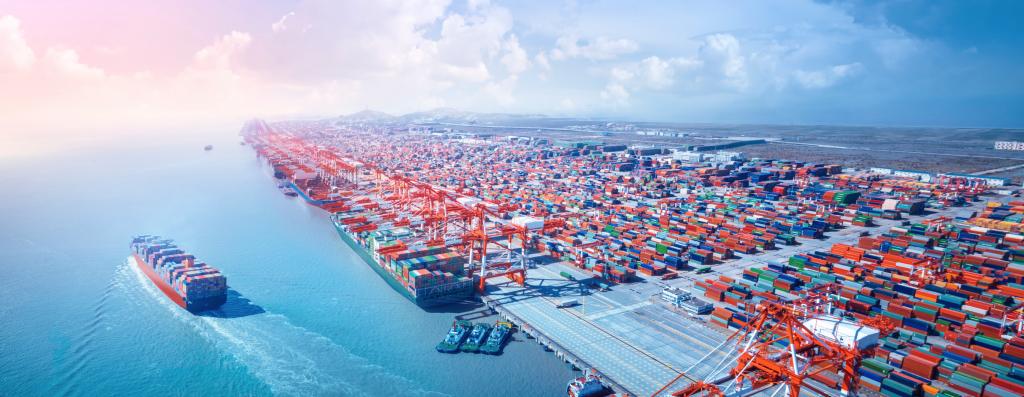 唐 遥：：全球供应链和价值链会疫后重组吗？？