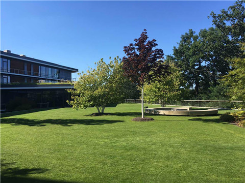 UG环球·(中国集团)官方网站