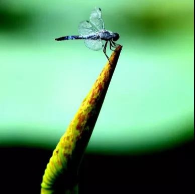 UG环球·(中国集团)官方网站