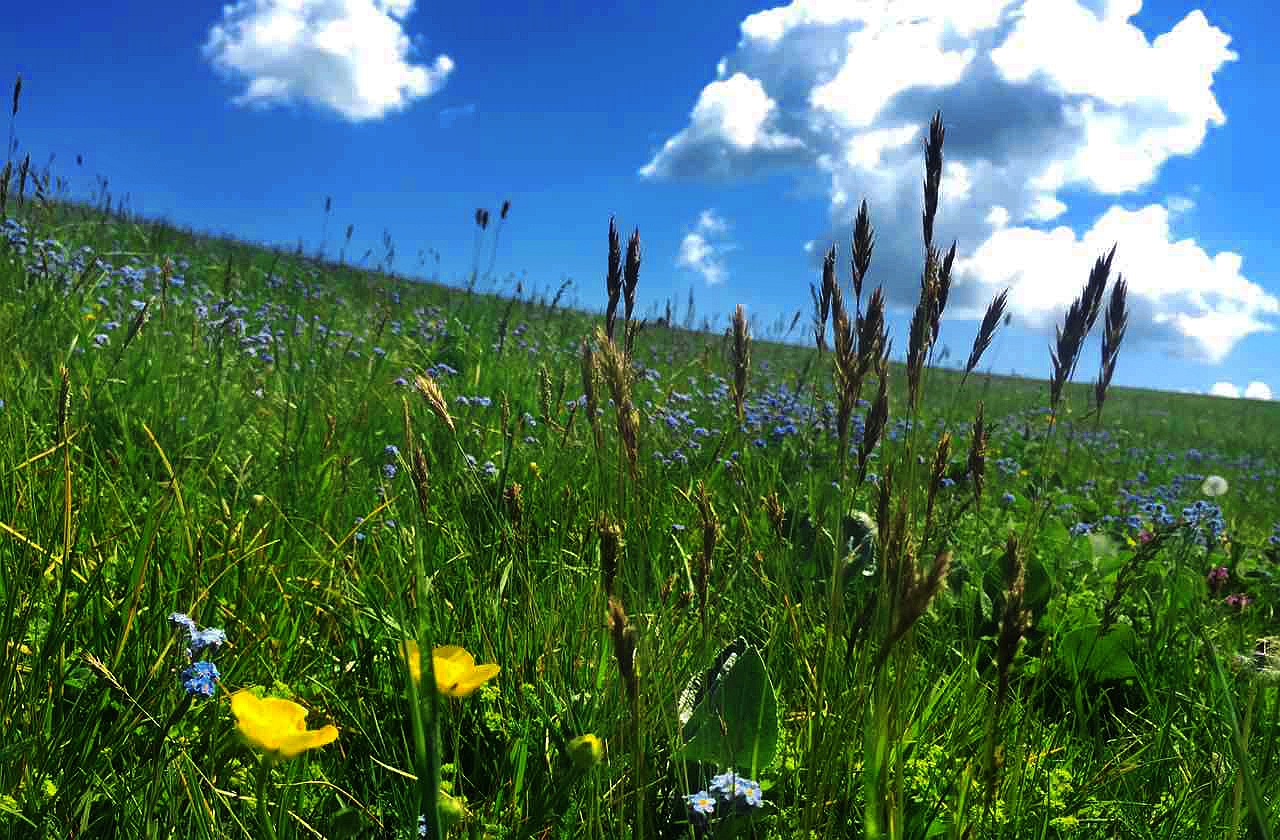 UG环球·(中国集团)官方网站