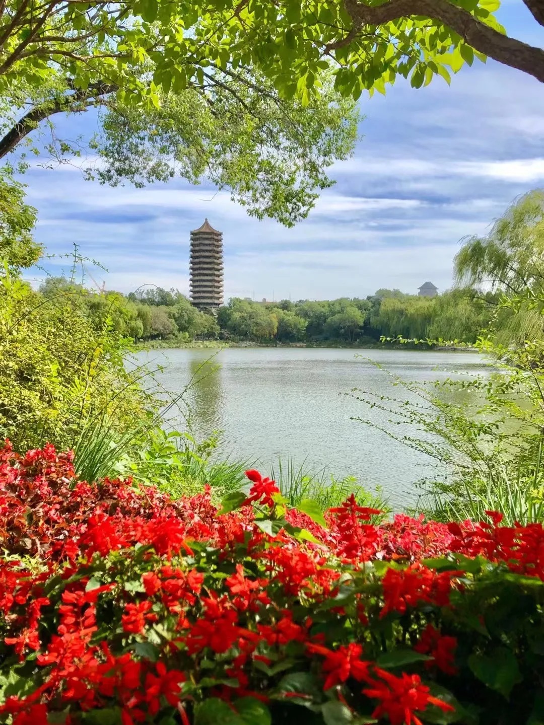 DD08B4299104D01F99A8A5DFBE9_9E65C8B4_931B7