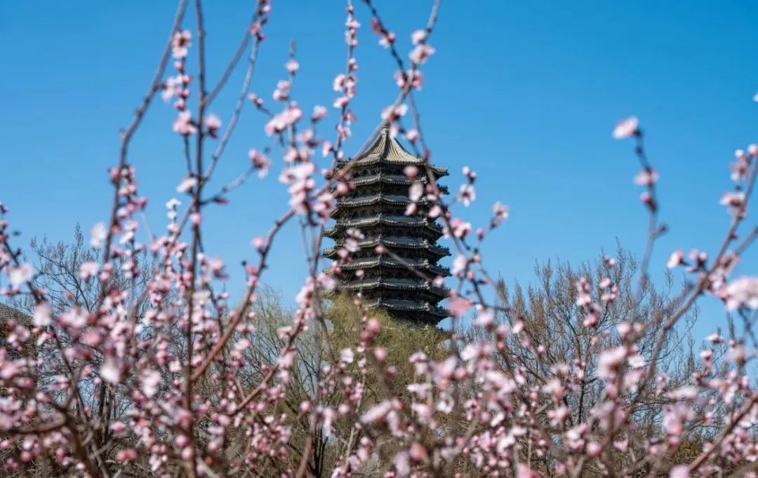 UG环球·(中国集团)官方网站