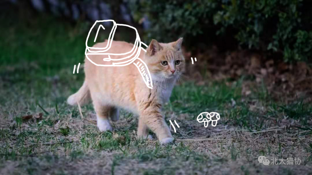 29883AD55BFEEE7210238CAD7C5_4715AB10_4E671