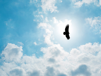 UG环球·(中国集团)官方网站