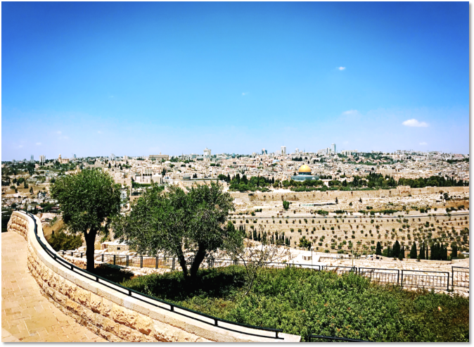 3F3BCC28628E1B5BA04226D5C35_79A549BB_99FB6.png?e=