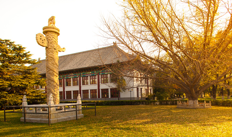 7D7F7F7AFD60D2E17E854295091_9A6B98E4_60C6E.jpg?e=