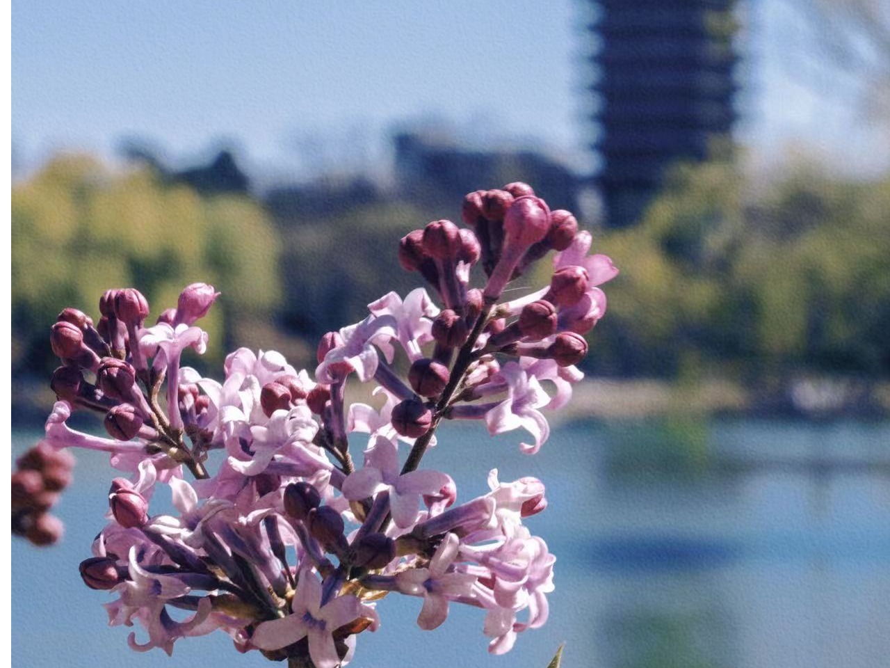 UG环球·(中国集团)官方网站