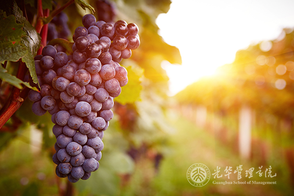 UG环球·(中国集团)官方网站