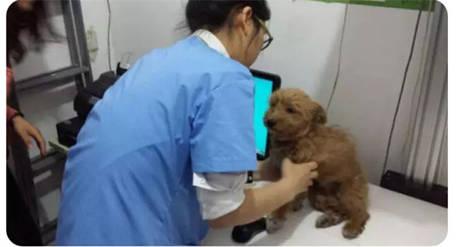 UG环球·(中国集团)官方网站