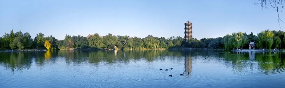 846F3FC51D5CCF5F9E942A0E88C_17B0EB07_D3BD