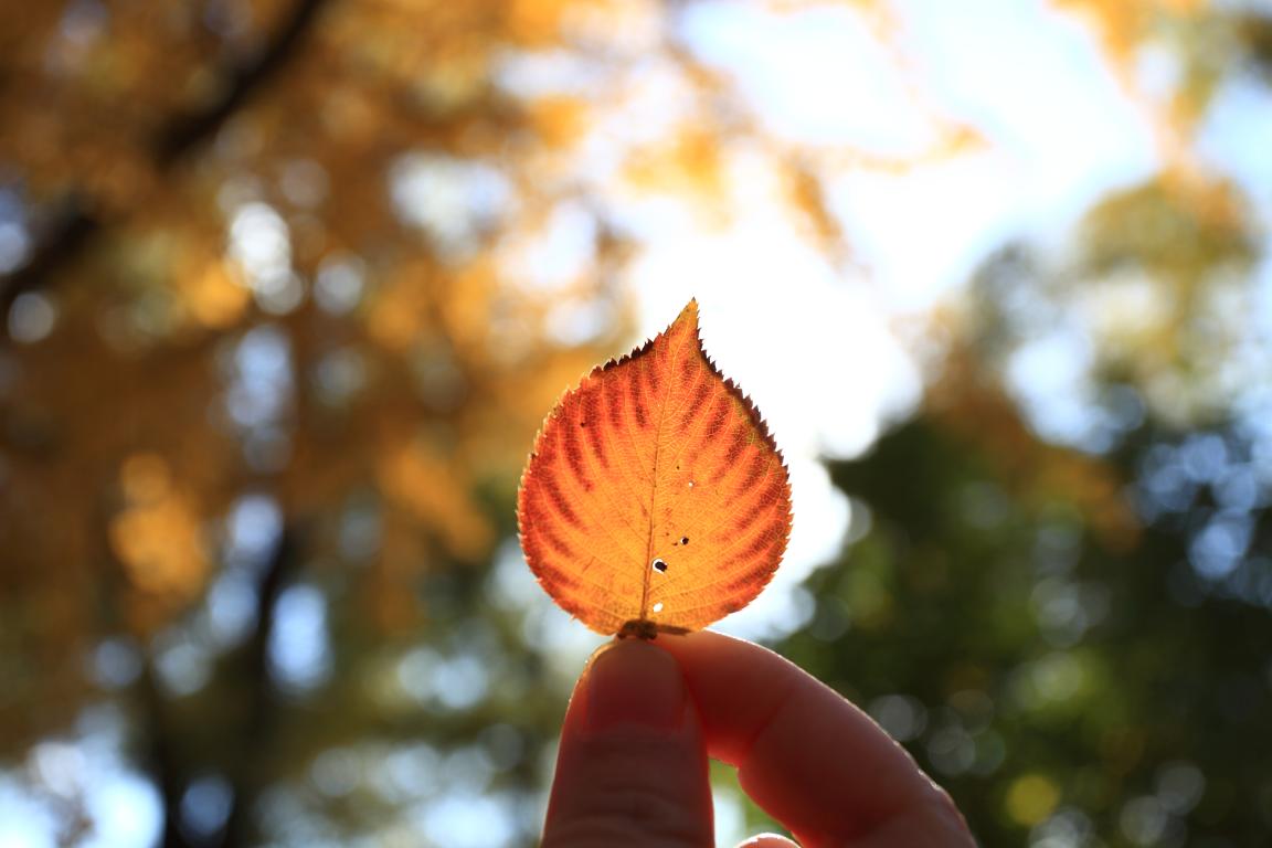北大UG环球MPAcc为何能获评A+效果？？—校友风范（Ⅱ）