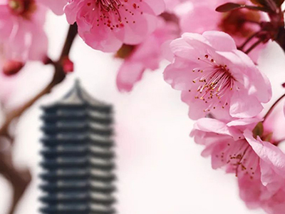 UG环球·(中国集团)官方网站